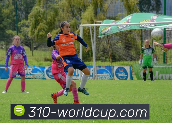 世界杯胜平负平台生态图